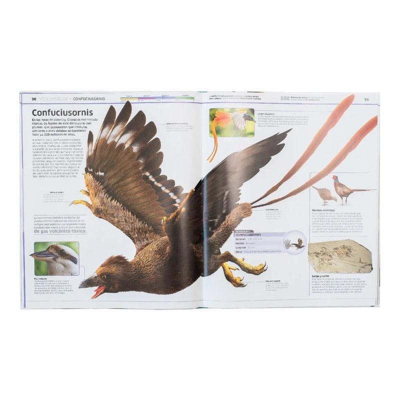 Dk Dinosaurios (tapa Dura)