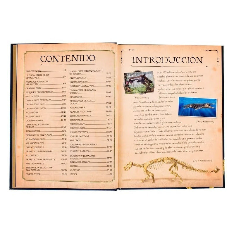 Colección De Huesos Dinosaurios (tapa Dura) / Lexus