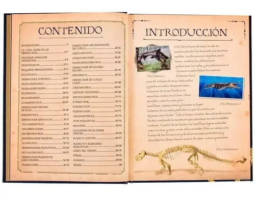 Colección De Huesos Dinosaurios (tapa Dura) / Lexus