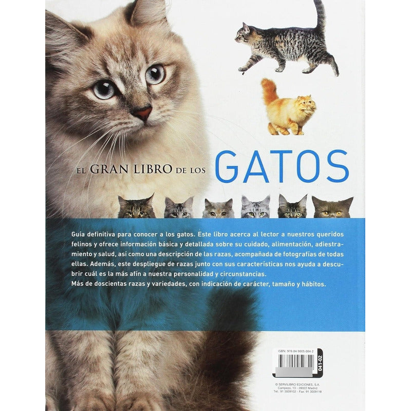 El Gran Libro De Los Gatos (tapa Dura) / Isabel Ortiz