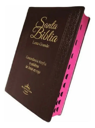 Santa Biblia Rvr1960 Letra Grande Concordancia Amplia