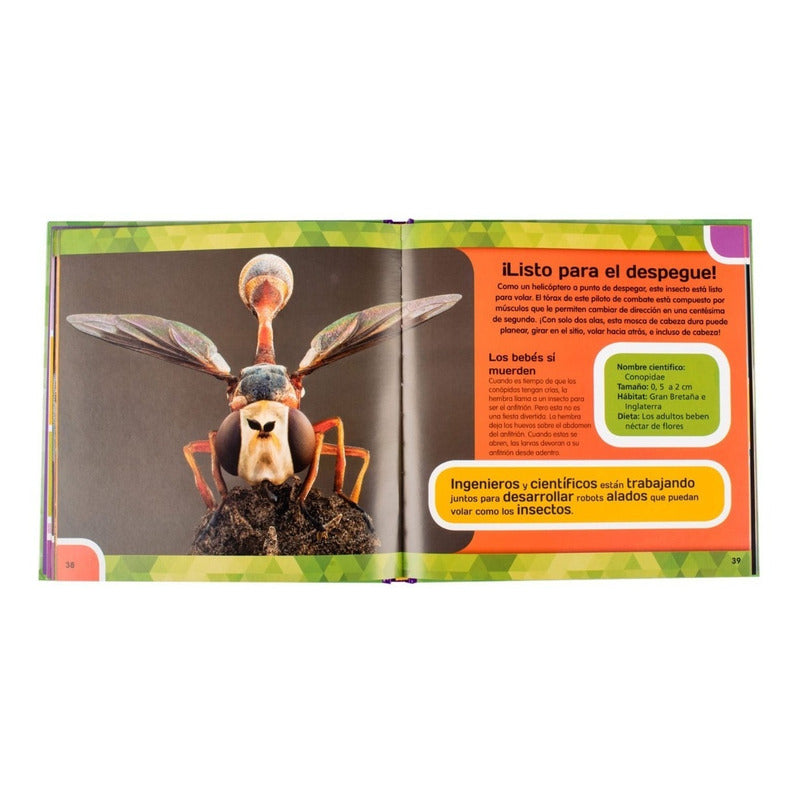 Insectos & Mariposas Un Zoom Fotográfico / Lexus