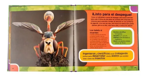 Insectos & Mariposas Un Zoom Fotográfico / Lexus