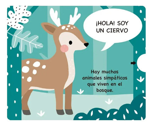 Animales Del Bosque / Lexus