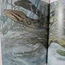 Anaconda Y Otros Cuentos / Horacio Quiroga