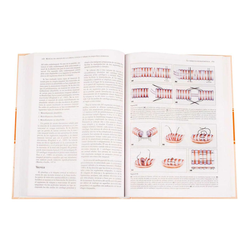 Manual De Cirugía De La Cabeza, Cuello Y Tórax / Lexus