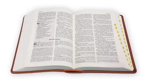La Biblia De Nuestro Pueblo (piel Marron) / Schokel