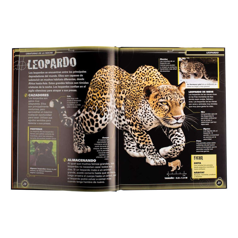 Criaturas De La Noche / Lexus