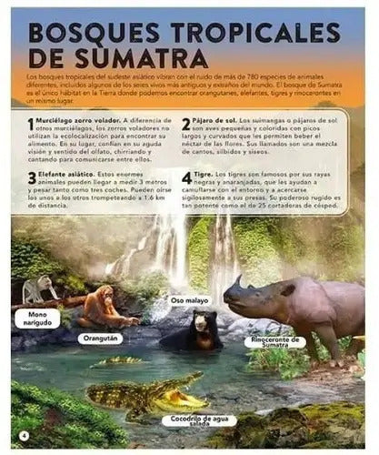 El Reino Animal Con 50 Increíbles Sonidos (t. Dura) / Lexus