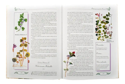 Plantas Que Curan (tapa Dura) / Luis Tomas Melgar