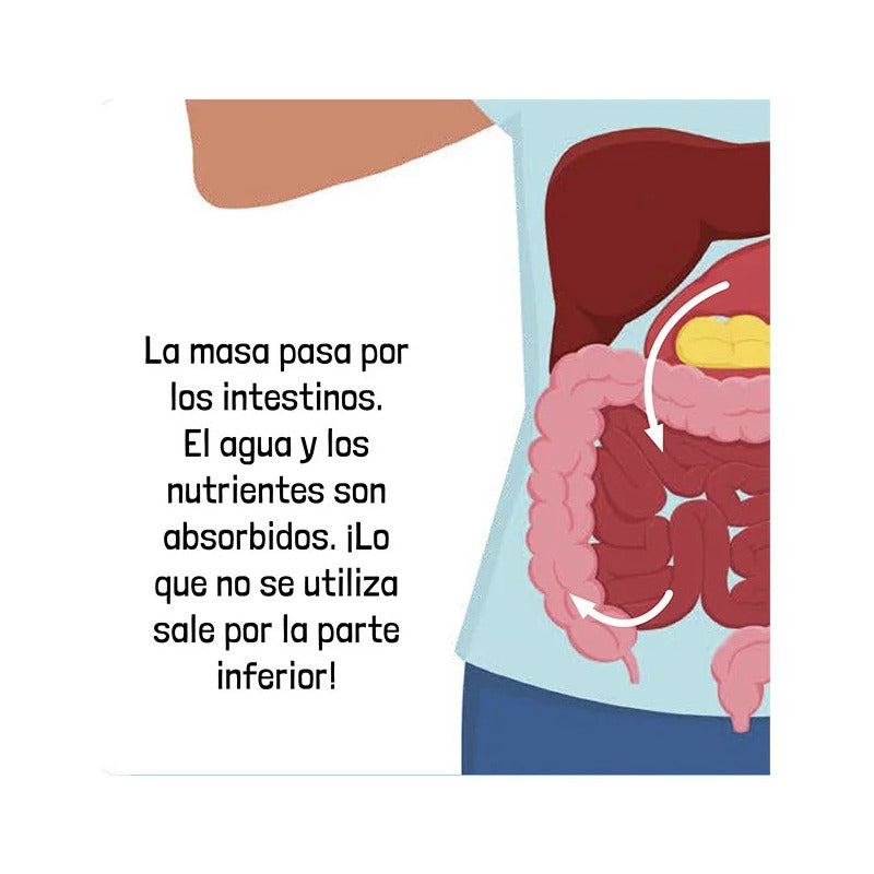 El Cuerpo Humano / Lexus