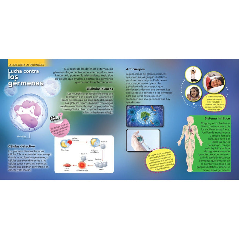 Enciclopedia Infantil Del Cuerpo Humano (tapa Dura)