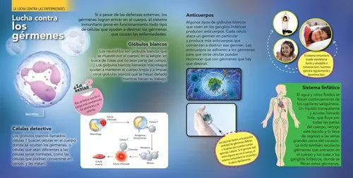 Enciclopedia Infantil Del Cuerpo Humano (tapa Dura)
