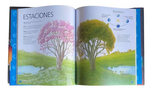 Asomate Al Interior De La Tierra (tapa Dura) / Jan Stradling
