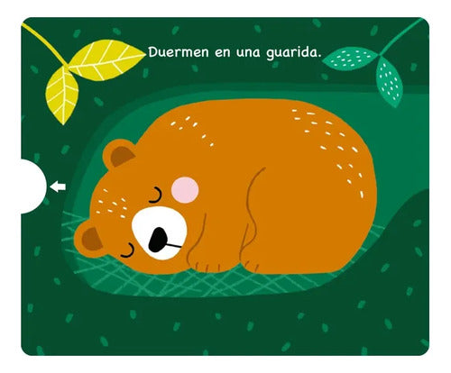 Animales Del Bosque / Lexus