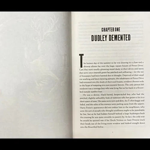 Harry Potter And The Order Of The Phoenix (t.dura) / Rowling