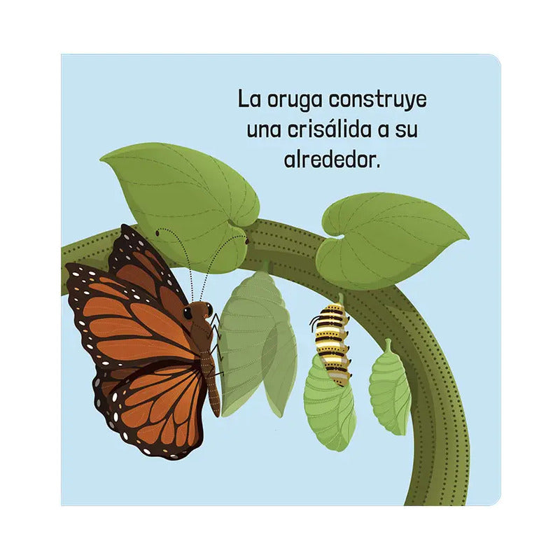 Cómo Funcionan Los Organismos Vivos / Lexus