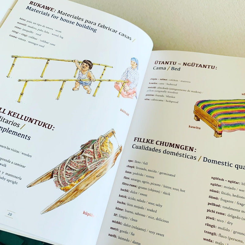 Mapuche Lengua Y Cultura (tapa Dura) / Pehuén