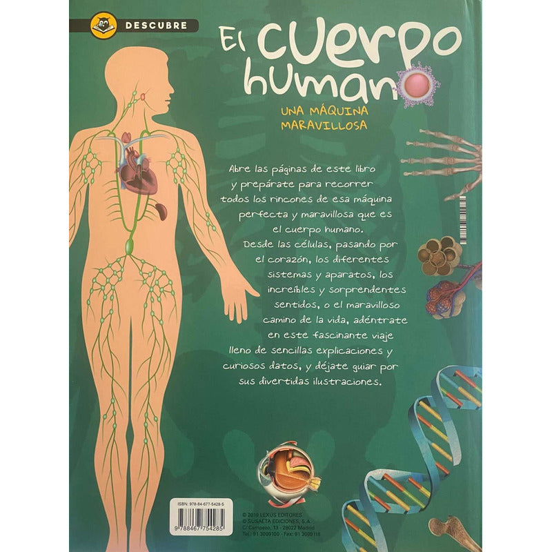Descubre El Cuerpo Humano / Lexus