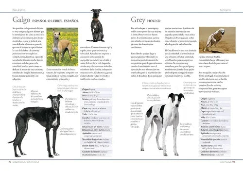 Enciclopedia De Las Razas De Perros (tapa Dura) / C.m. Comps
