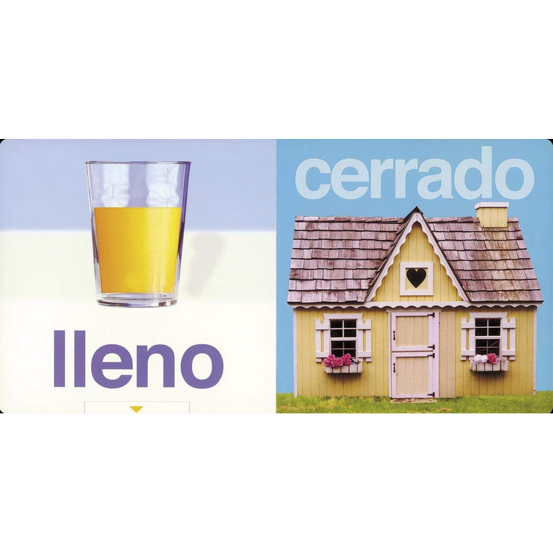 Contrarios (vamos A Aprender) / Todolibro