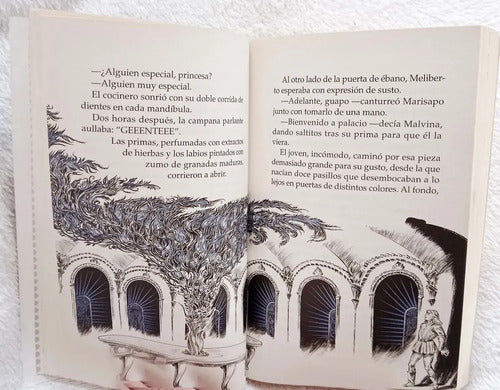 Un Embrujo De Siglos / Ana Maria Guiraldes
