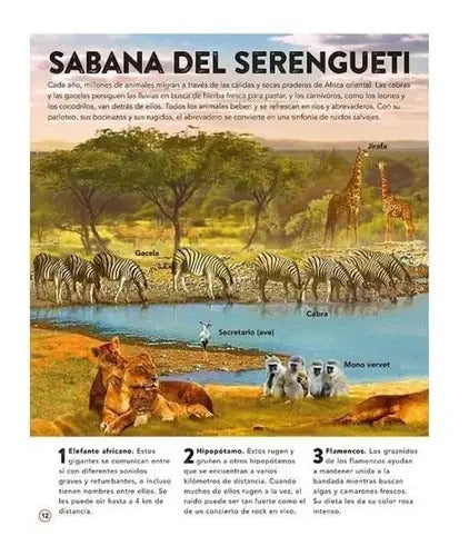 El Reino Animal Con 50 Increíbles Sonidos (t. Dura) / Lexus