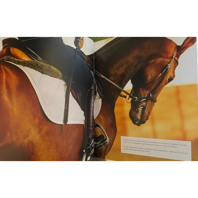 Caballos Razas Y Orígenes (tapa Dura) / Lexus