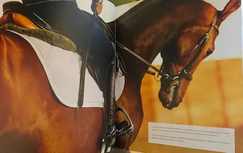 Caballos Razas Y Orígenes (tapa Dura) / Lexus