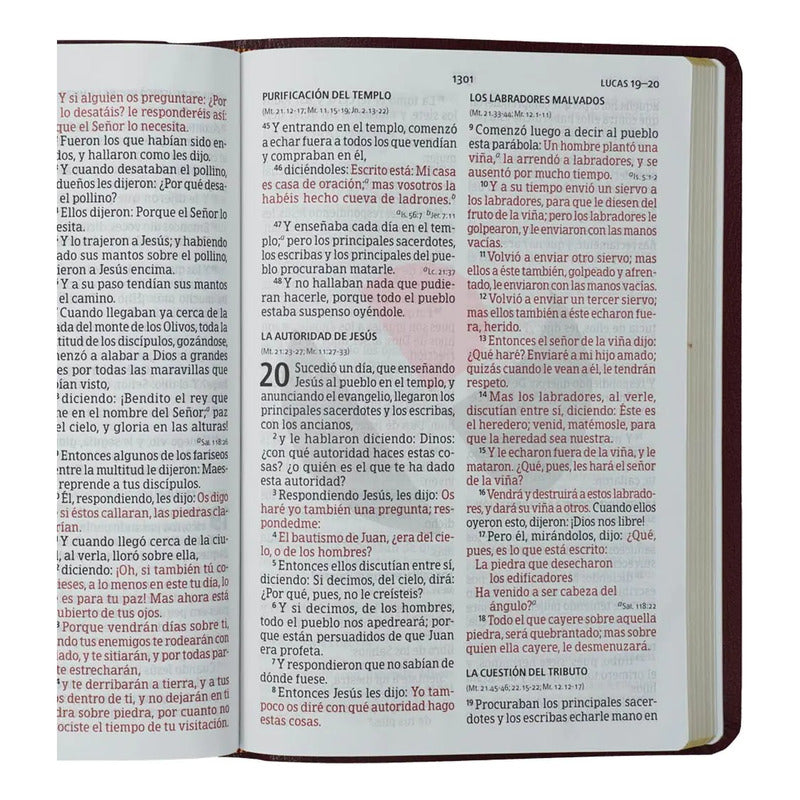 Santa Biblia Letra Super Gigante Con Referencias Rv1960