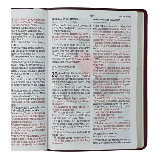 Santa Biblia Letra Super Gigante Con Referencias Rv1960