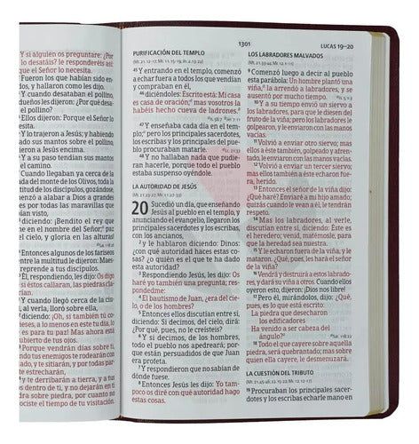 Santa Biblia Letra Super Gigante Con Referencias Rv1960