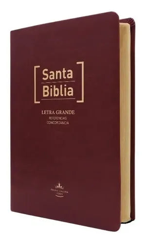 Santa Biblia Rvr 1960 Letra Grande Referencias Concordancia