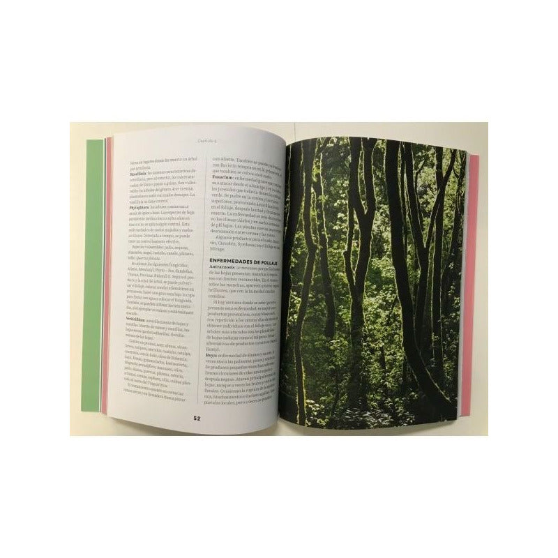 Arboles / Raul Silva