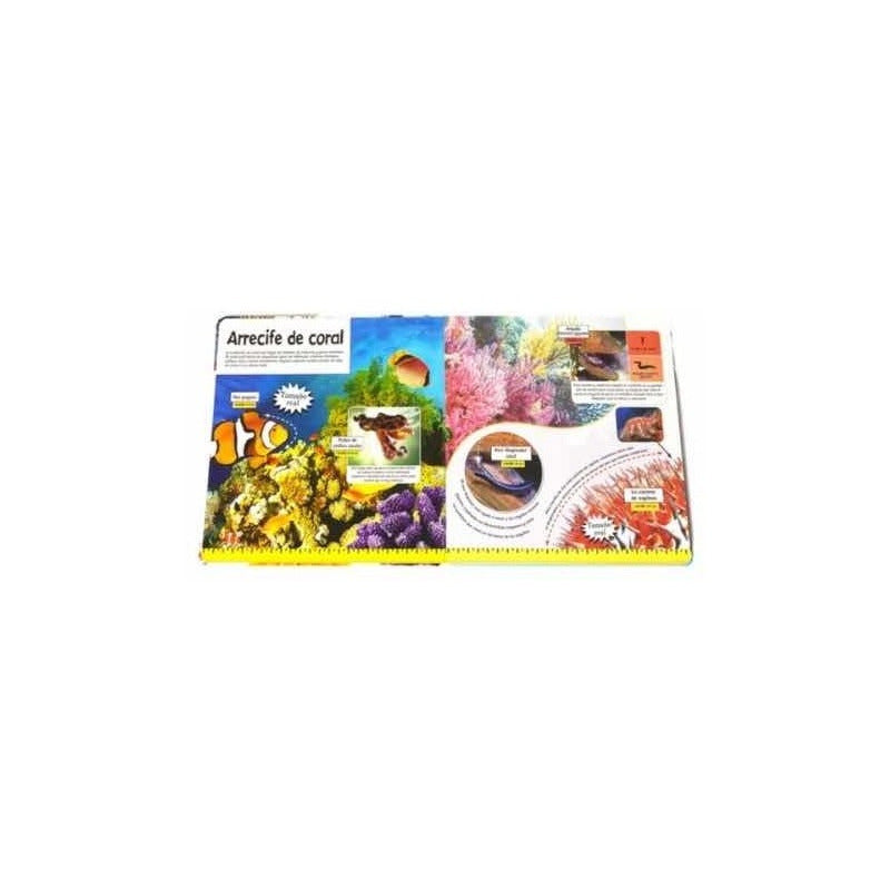 Animales Del Océano De Tamaño Real Desplegables / Lexus