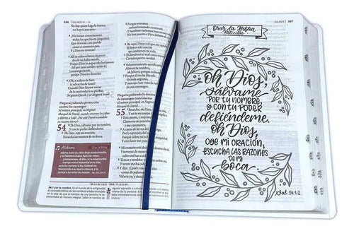 Biblia De Estudio Ser Mujer (tapa Piel) / Sbu