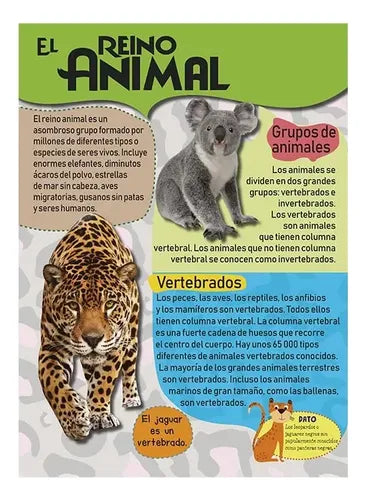 Mi Gran Libro De Animales (tapa Dura) / Lexus