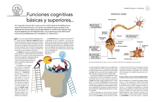 Cerebro Conducta Y Aprendizaje Neurociencia (t.dura) / Lexus