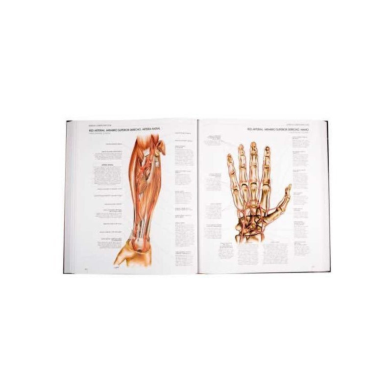 Atlas Del Cuerpo Humano (tapa Dura) / Lexus