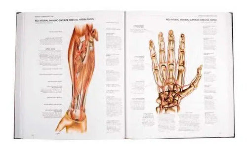 Atlas Del Cuerpo Humano (tapa Dura) / Lexus