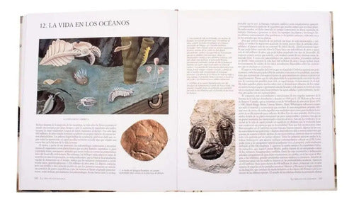 Atlas Ilustrado De El Origen De La Vida (tapa Dura) / Lexus