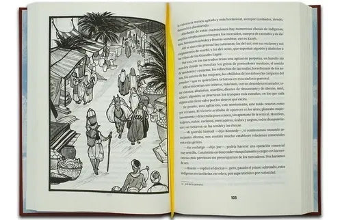 Cinco Semanas En Globo (ilust. Tapa Dura) / Verne