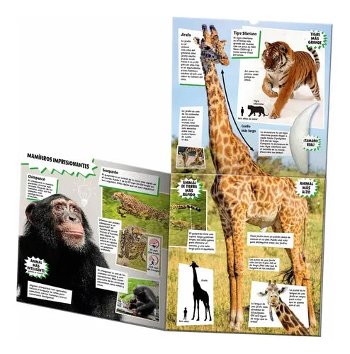 Mi Libro De Animales Asombrosos Desplegables / Lexus