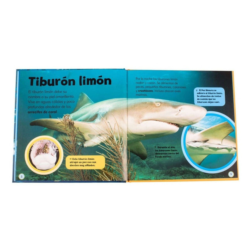 Mi Pequeño Libro De Tiburones / Lexus