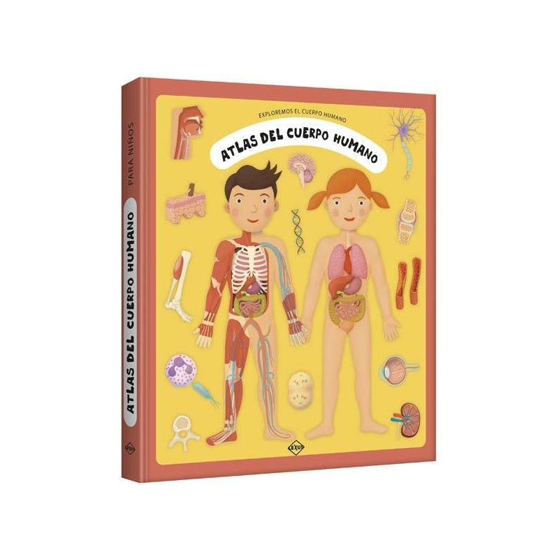 Atlas Del Cuerpo Humano (tapa Dura) / Lexus