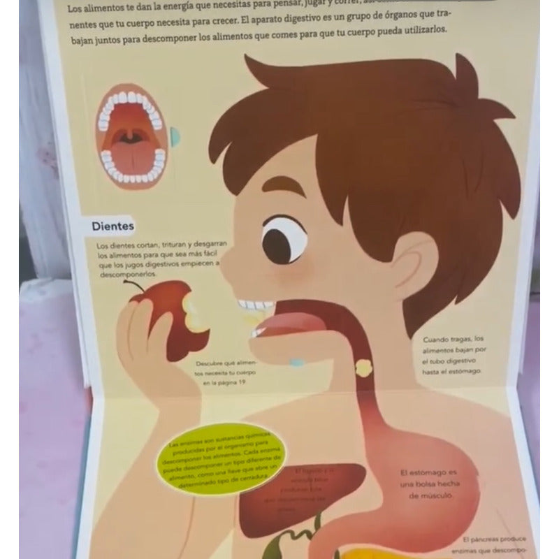 Cuerpo Humano Levanta La Pestaña (tapa Dura) / Eurosur