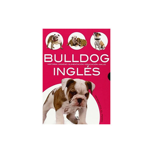 Bulldog Ingles / Javier Villahizan