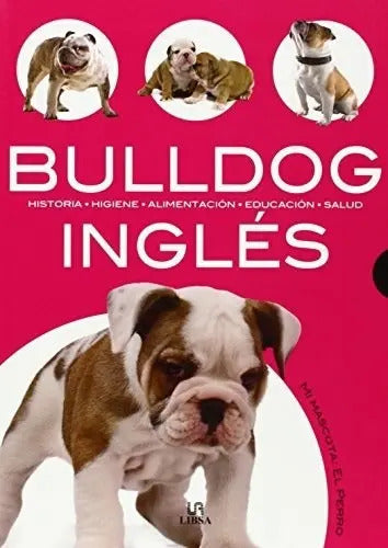 Bulldog Ingles / Javier Villahizan