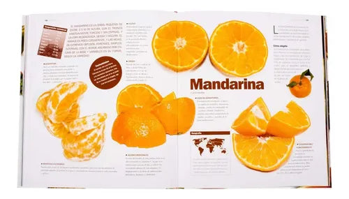 Atlas Ilustrado De Las Frutas (tapa Dura) / Susaeta