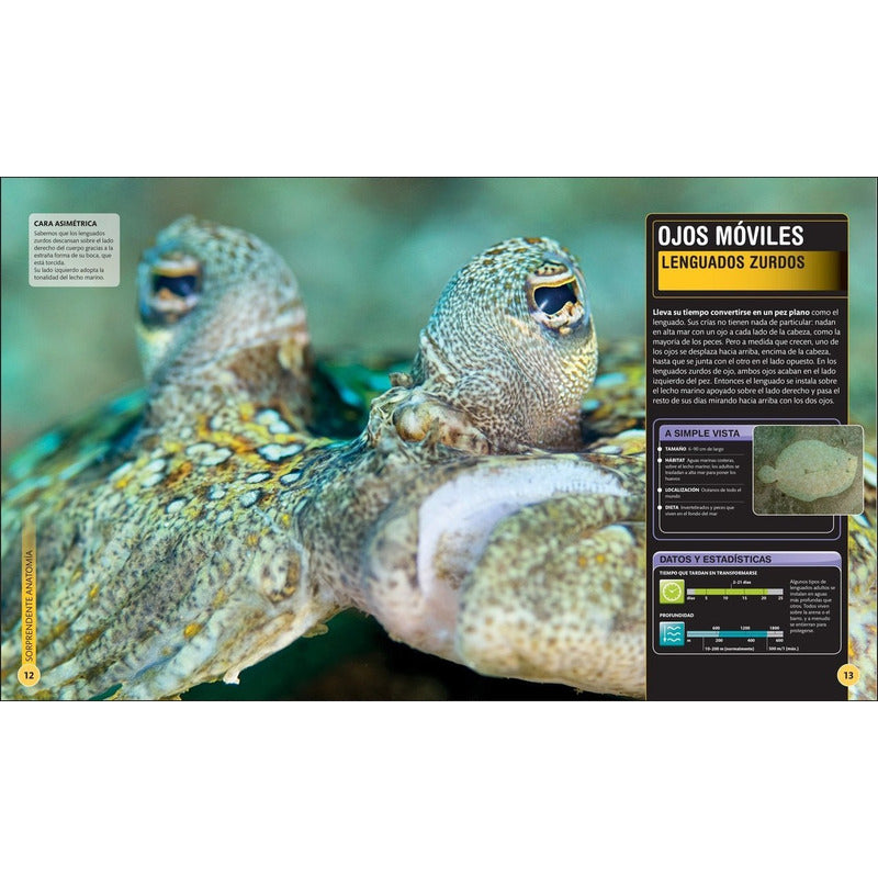 Dk Enciclopedia Super Tiburones (tapa Dura)